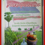 มาเป็นหมอดูแลตัวเองกันเถอะ ถอดรหัสสุขภาพ เล่ม ๓ โดย ใจเพชร กล้าจน (มือสอง) (สภาพ85-95%)
