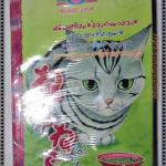 การ์ตูน เนโกะ เนโกะ3 สนพ.หมึกจีน มือ1ในซีล เล่มเดียวจบ ลด20%