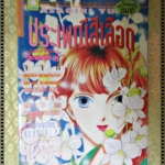 การ์ตูน ประเพณีสีเลือด โดย ASAGIRI YUU เล่มเดียวจบ