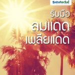 รับมือลมแดด-เพลียแดด