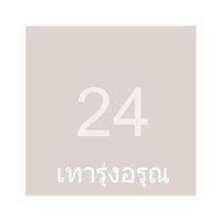 2.70x10M สีเทารุ่งอรุณ
