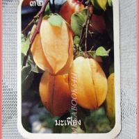 บัตรภาพธนาคารออมสิน ชุด ผลไม้ไทย ปี2528 No.32 มะเฟือง