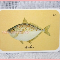 บัตรภาพธนาคารออมสิน ชุดปลาทะเลของไทย ปี2535 No.10