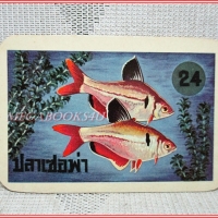 บัตรภาพธนาคารออมสิน ชุดปลาเลี้ยงสวยงาม No.24