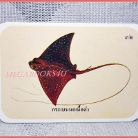 บัตรภาพธนาคารออมสิน ชุดปลาทะเลของไทย ปี2535 No.32