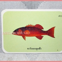 บัตรภาพธนาคารออมสิน ชุดปลาทะเลของไทย ปี2535 No.30