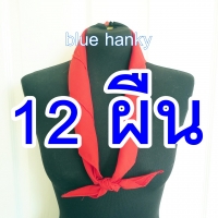 12 ผืน