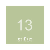 2x5M สีชาเขียว