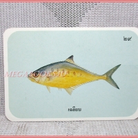 บัตรภาพธนาคารออมสิน ชุดปลาทะเลของไทย ปี2535 No.29