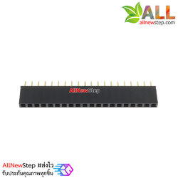 1X20 Pin 20P Single Row Female Header 2.54mm pitch straight จำนวน 1 ชิ้น