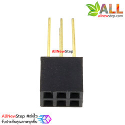 Pin header 2.54mm แบบขาวยาว 11mm ขนาด 2x3 ขา 2x3p