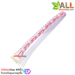 สายแพ 5P ตัวเมีย single head line 20CM ระยะห่าง 2.54mm