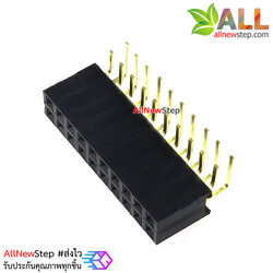 ขาก้างปลาตัวเมียแบบฉาก 2x10 ขา Double Row Hole Jack 2x10 PIN Header 2.54mm