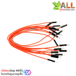 สายไฟจัมเปอร์ 20cm แบบ ผู้-ผู้ สีแดง จำนวน 10 เส้น
