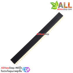 1x40 Pin 2.54mm Pin Square Female Pin Header Connector