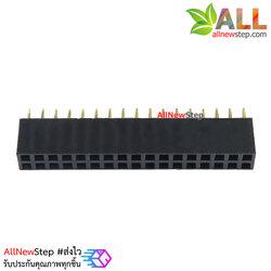 ขาต่อตัวเมีย Double row female 2.54mm pitch straight pinheader socket 2x17 2.54mm