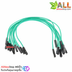 สายไฟจัมเปอร์ 20cm สาย jumper 20 cm จำนวน 10 เส้น เมีย-เมีย สีเขียว