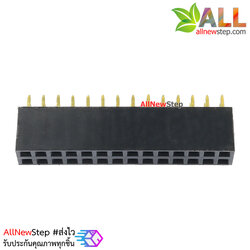 2.54mm pitch female double row female socket 2x14 pin