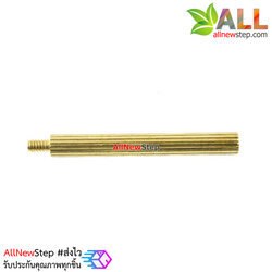 น็อตทองเหลือง NUT M2 ขนาด 25+3mm