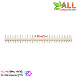 ก้างปลา 2x40 ขา สีขาว 2.54mm white Single Row Male 2X40 Copper Pin Header Strip