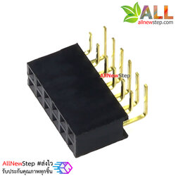 ขาก้างปลาตัวเมียแบบฉาก 2x6 ขา Double Row Hole Jack 2x6 PIN Header 2.54mm