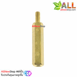 Nut screw m2.5 น็อตสกรู M2.5 ขนาด 18+6mm