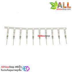 Dupont male terminal 2.54mm ไส้ไก่ ตัวผู้ จำนวน 10 ชิ้น