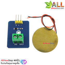 Ceramic Piezo Vibration Sensor Module