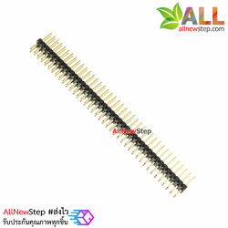 ขาก้างปลา 2x40 ขา ระยะห่าง Pitch 1.27mm