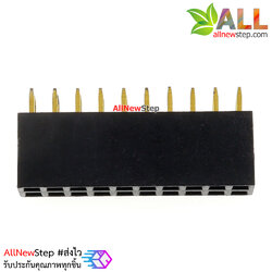 2.54mm pitch female double row female socket 2x10 pin