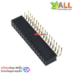 ขาก้างปลาตัวเมียแบบฉาก 2x16 ขา Double Row Hole Jack 2x16 PIN Header 2.54mm