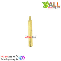 น็อตทองเหลือง NUT M2 ขนาด 20+3mm