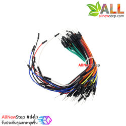 สายไฟ ผู้-ผู้ Jumper จัมเปอร์แพ็ค 65 เส้น