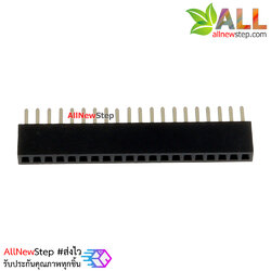 Pih Header ระยะ 1.27mm pitch ขนาด 1x20 ขา