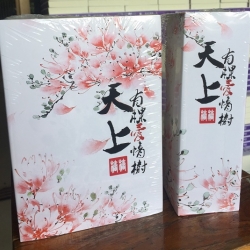 สวรรค์ลิขิตรัก นิยายจีนแปลจากนิยายขายดีติดอันดับของจีน โดยจวงจวง