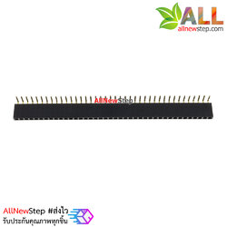 1x40 Pin 2.54mm Pin 90 degree Female Pin Header Connector