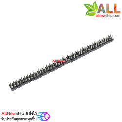 ก้างปลา 2x40 ขากลม 2.54 Double row round hole seat 2x40p