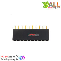 1X10 Pin 10P Single Row Female Header 2.54mm pitch straight จำนวน 1 ชิ้น