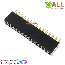 Double row female socket female socket 2.54mm 2x15