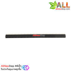 1X40P 2.0mm pitch single row female single row female connector female ตัวเมีย