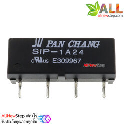 Relay Reed Switch 24V 1A