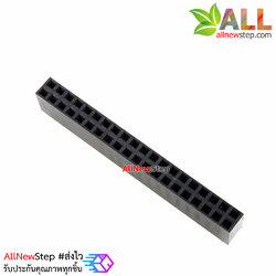 2x20P 2.54mm pitch female double row female socket 2x20 pin