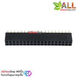 2.54mm pitch female double row female socket 2x19 pin