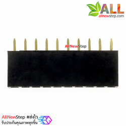 Pin header Single row 10p female 1x10P spacing 2.54mm จำนวน 1 ชิ้น