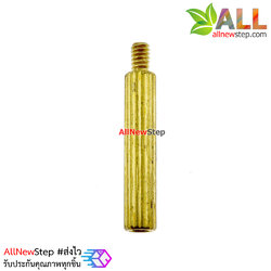 น็อตทองเหลือง NUT M2 ขนาด 15+3mm