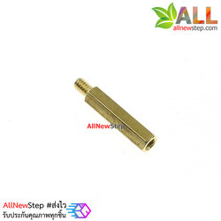 น็อตทองเหลือง NUT M2 ขนาด 12+3mm