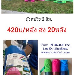 มุ้งเต็นท์ มุ้งสปริง 2.0ม. หลังละ 420บาท ส่ง 20หลัง