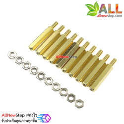 น็อตทองเหลืองตัวผู้และตัวเมีย 3mm m3 20+6mm Pillars Nut M3 10 คู่