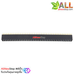 Double Row Hole Jack 2x40 PIN Header 2.54MM