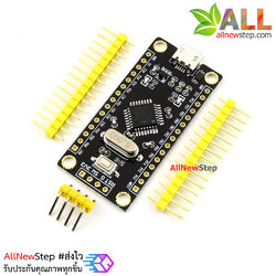บอร์ด STM8S development board STM8S105K4T6